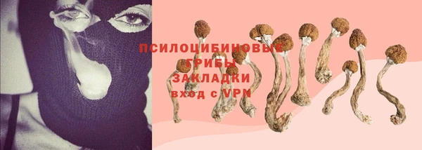 прущий лед Белокуриха