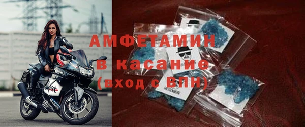 гидра Богородицк