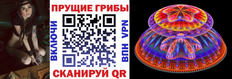 купить   Кострома  Галлюциногенные грибы MAGIC MUSHROOMS 